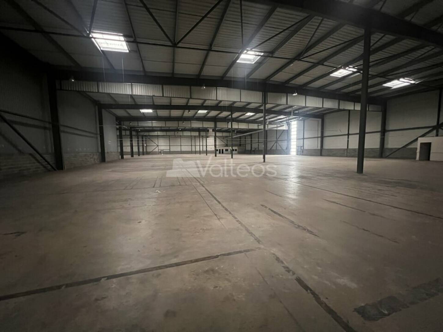 REXIM - Local d'activités - Haute-Garonne - Villeneuve-lès-Bouloc - 2