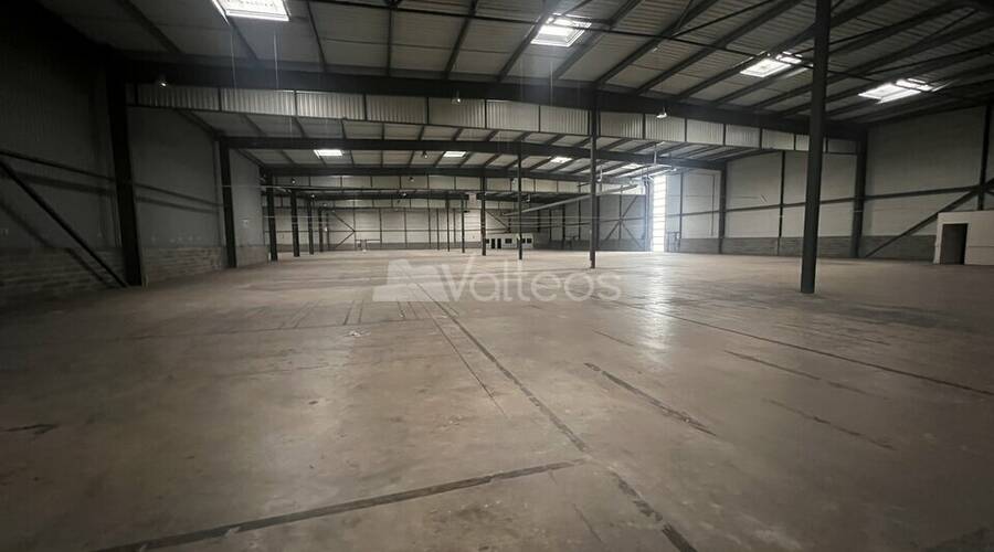 REXIM - Local d'activités - Haute-Garonne - Villeneuve-lès-Bouloc - 2