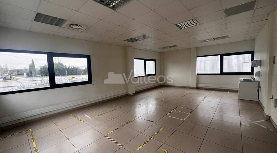 REXIM - Local d'activités - Haute-Garonne - Villeneuve-lès-Bouloc - 5