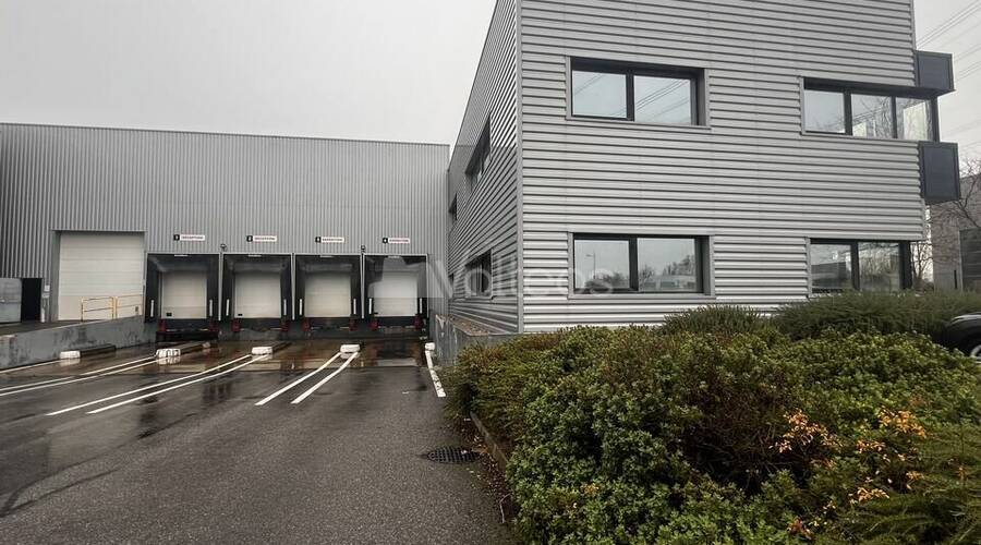 REXIM - Local d'activités - Haute-Garonne - Villeneuve-lès-Bouloc - 6