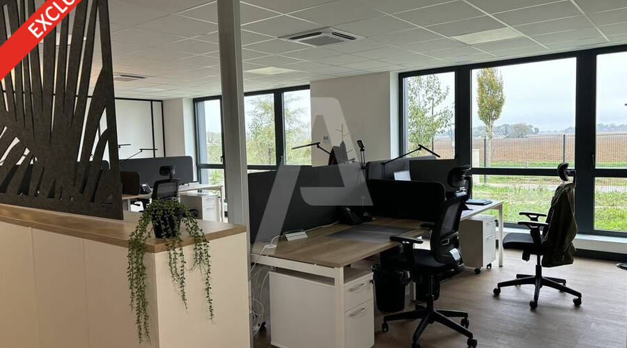 REXIM - Local d'activités - Montereau-sur-le-Jard - 4