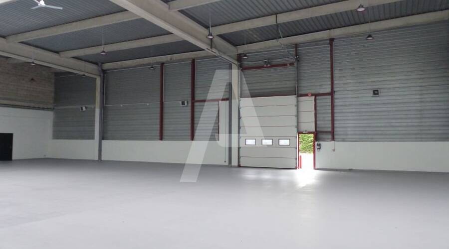 REXIM - Entrepôt - Tigery - 3