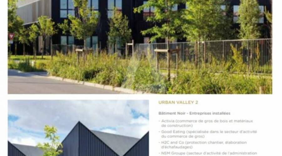 REXIM - Terrain - Massy - 9