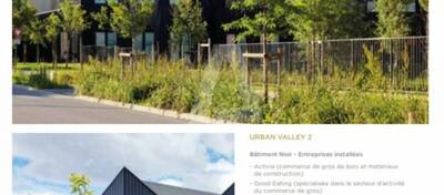 REXIM - Terrain - Massy - 9