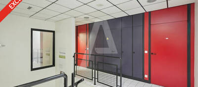 REXIM - Entrepôt - Villebon-sur-Yvette - 5