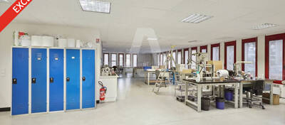 REXIM - Entrepôt - Villebon-sur-Yvette - 4