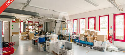 REXIM - Entrepôt - Villebon-sur-Yvette - 7