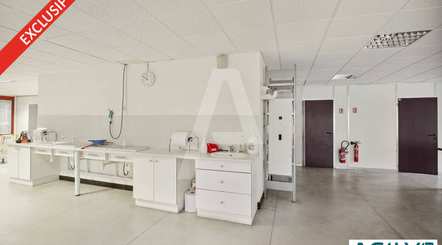 REXIM - Entrepôt - Villebon-sur-Yvette - 8