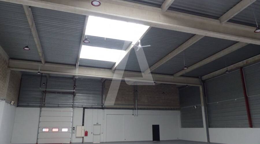 REXIM - Entrepôt - Tigery - 1