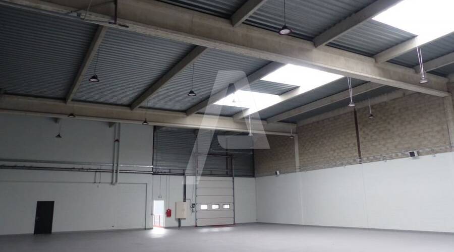 REXIM - Entrepôt - Tigery - 6