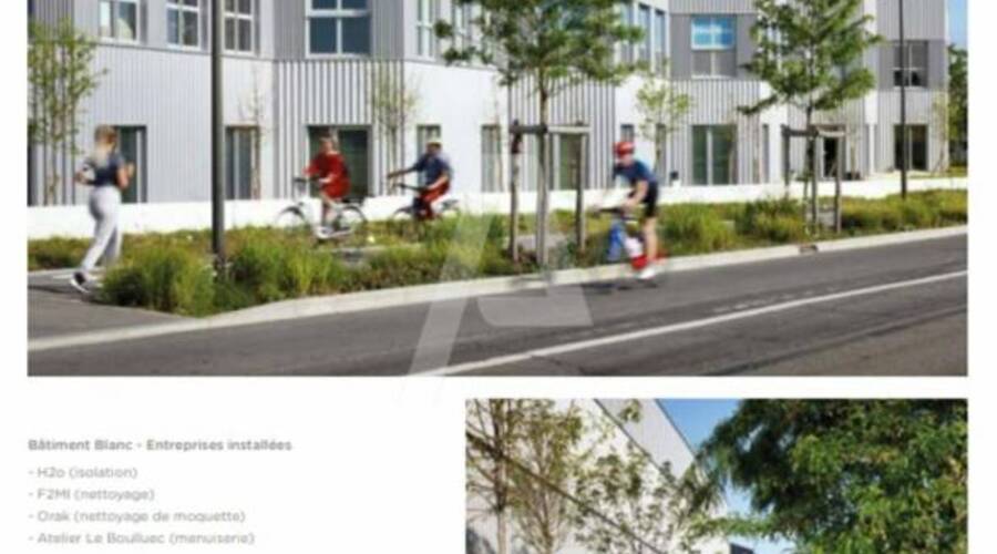 REXIM - Terrain - Massy - 8