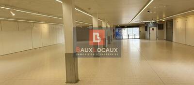 REXIM - Local commercial - Bouches-du-Rhône - Saint-Martin-de-Crau - 1
