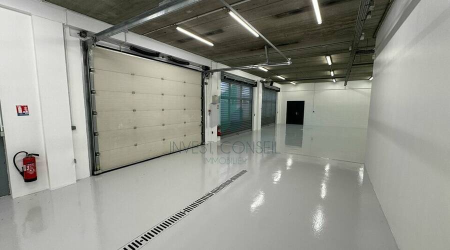 REXIM - Local d'activités - Val-d'Oise - Roissy-en-France - 4