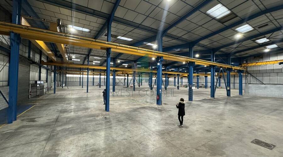 REXIM - Local d'activités - Val-d'Oise - Fosses - 5