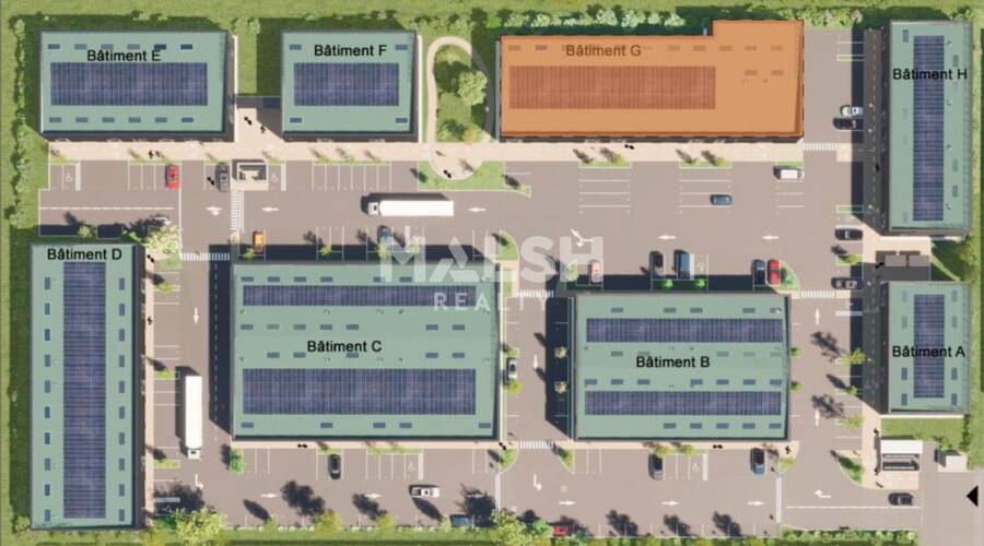 REXIM - Local d'activités - Ain - Trévoux - 8