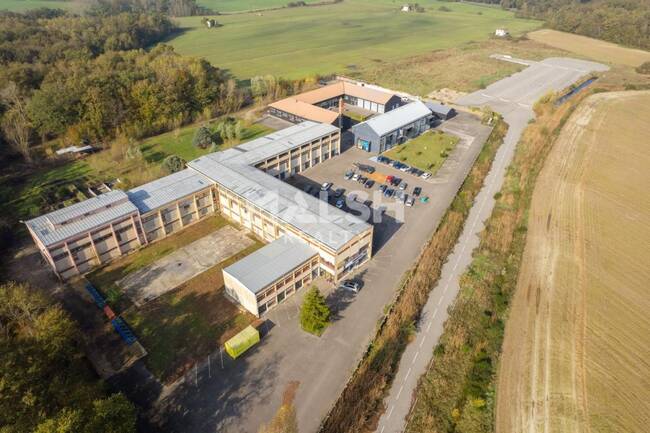 REXIM - Local d'activités - Ain - Saint-André-de-Corcy - 1