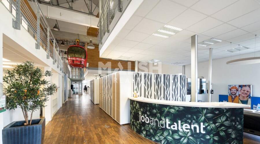 REXIM - Local d'activités - Ain - Saint-André-de-Corcy - 3