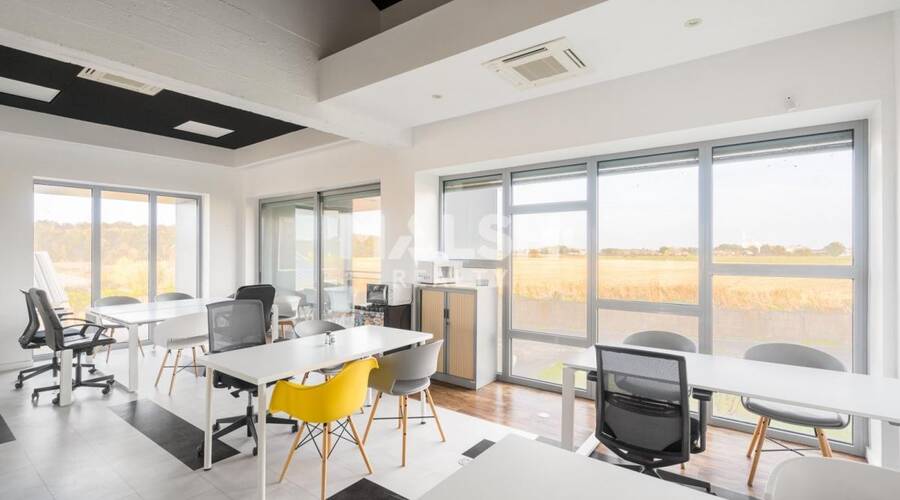 REXIM - Local d'activités - Ain - Saint-André-de-Corcy - 15