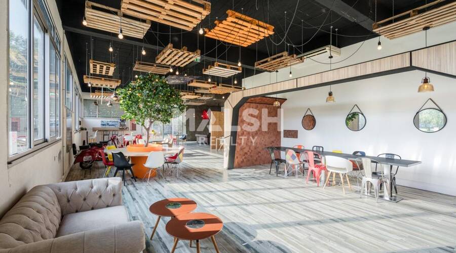 REXIM - Local d'activités - Ain - Saint-André-de-Corcy - 25