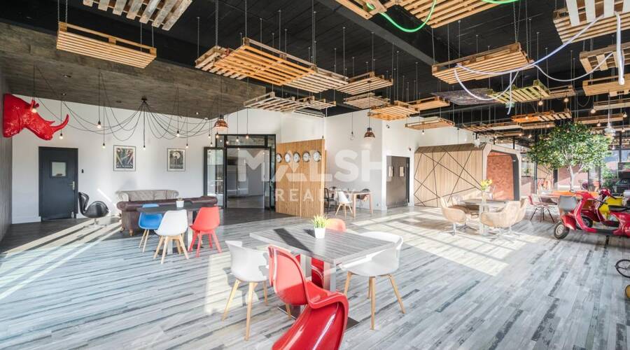 REXIM - Local d'activités - Ain - Saint-André-de-Corcy - 27