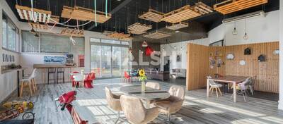 REXIM - Local d'activités - Ain - Saint-André-de-Corcy - 28