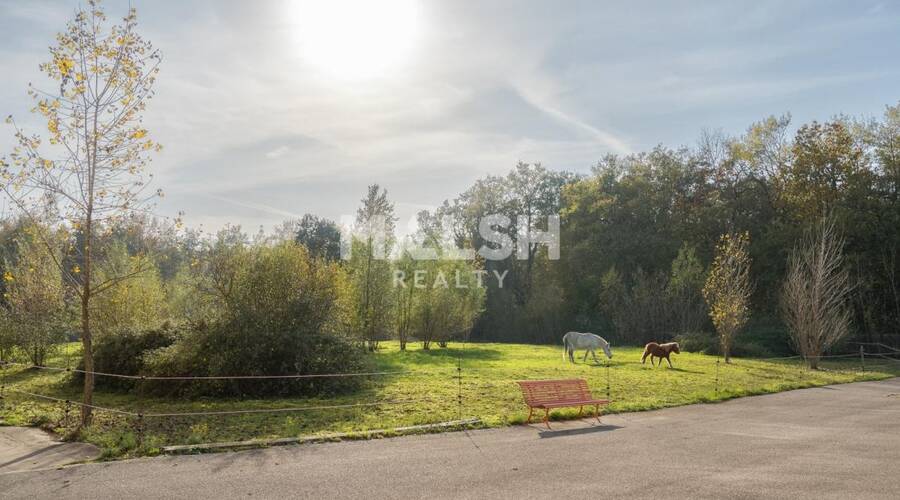 REXIM - Local d'activités - Ain - Saint-André-de-Corcy - 36