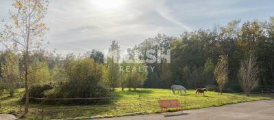 REXIM - Local d'activités - Ain - Saint-André-de-Corcy - 36