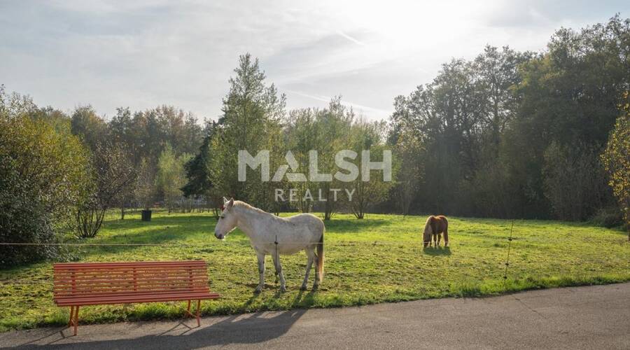 REXIM - Local d'activités - Ain - Saint-André-de-Corcy - 37