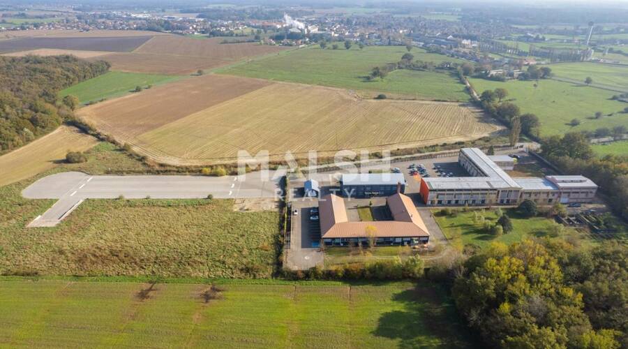 REXIM - Local d'activités - Ain - Saint-André-de-Corcy - 64