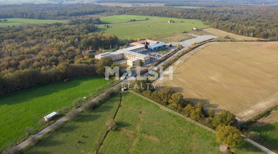 REXIM - Local d'activités - Ain - Saint-André-de-Corcy - 67