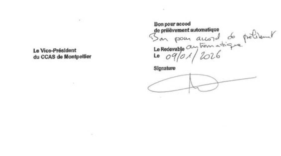 REXIM - Local commercial - Hérault - Saint-André-de-Sangonis - 14