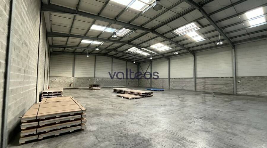 REXIM - Local d'activités - Haute-Garonne - Toulouse - 3