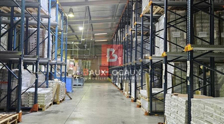 REXIM - Local d'activités - Vaucluse - Entraigues-sur-la-Sorgue - 7