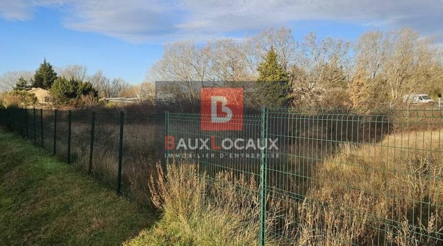 REXIM - Local d'activités - Vaucluse - Entraigues-sur-la-Sorgue - 9