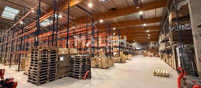 REXIM - Local d'activités - Ain - Saint-André-de-Corcy - 4