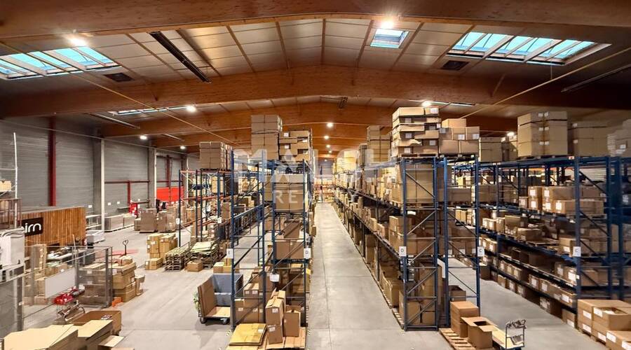 REXIM - Local d'activités - Ain - Saint-André-de-Corcy - 6