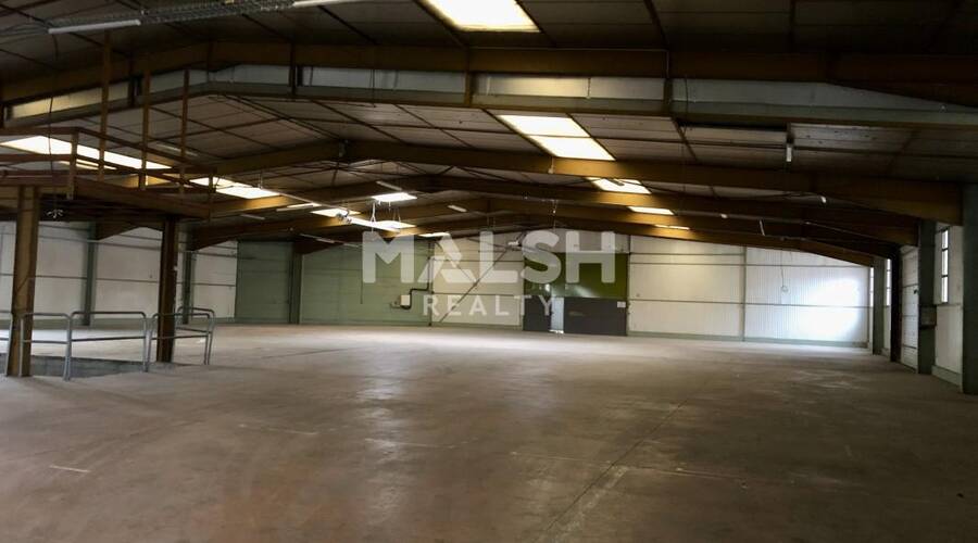 REXIM - Local d'activités - Rhône - Alix - 4