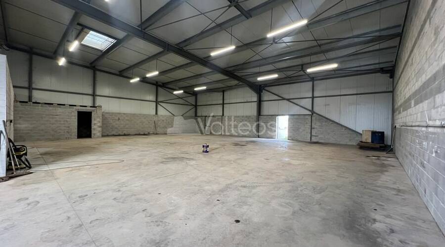 REXIM - Local d'activités - Haute-Garonne - Villeneuve-Tolosane - 3