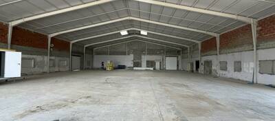 REXIM - Local commercial - Tarn-et-Garonne - Montauban - 6