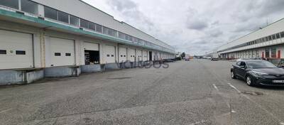 REXIM - Local d'activités - Haute-Garonne - Toulouse - 6