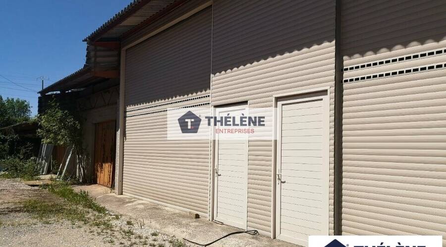 REXIM - Local d'activités - Hérault - Montpellier - 3