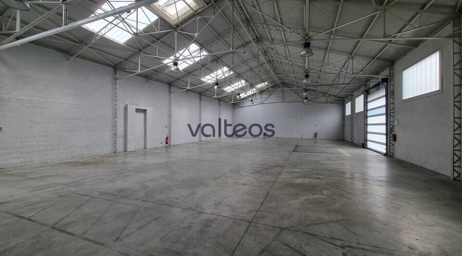 REXIM - Local d'activités - Haute-Garonne - Toulouse - 2