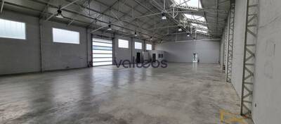 REXIM - Local d'activités - Haute-Garonne - Toulouse - 3