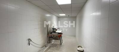 REXIM - Local d'activités - Rhône - Alix - 9