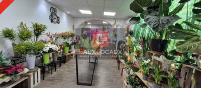 REXIM - Local commercial - Bouches-du-Rhône - La-Fare-les-Oliviers - 1