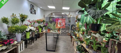 REXIM - Local commercial - Bouches-du-Rhône - La-Fare-les-Oliviers - 4