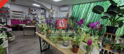 REXIM - Local commercial - Bouches-du-Rhône - La-Fare-les-Oliviers - 4