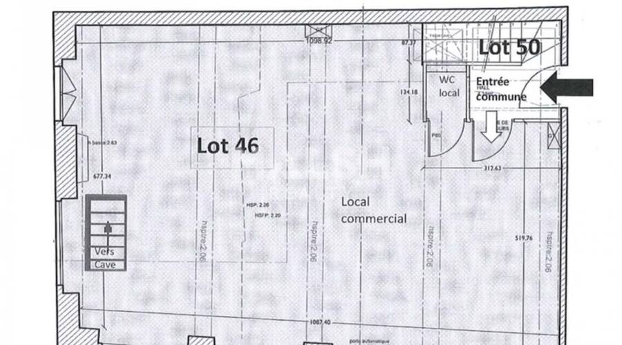 REXIM - Local commercial - Rhône - Lyon - 5