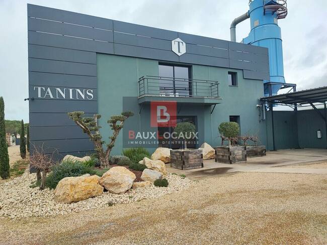 REXIM - Local d'activités - Bouches-du-Rhône - Arles - 1