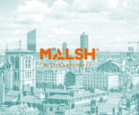 REXIM - malsh-realty-property-lyon-saint-etienne-locaux-professionnels-activites-commerces-bureaux